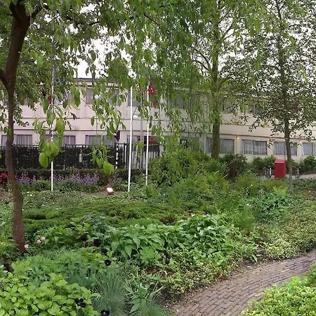 Budget Hostel Bargain Toko *